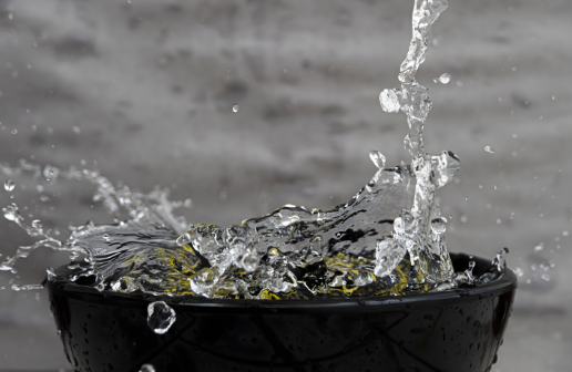 Rainwater Harvesting Consultant